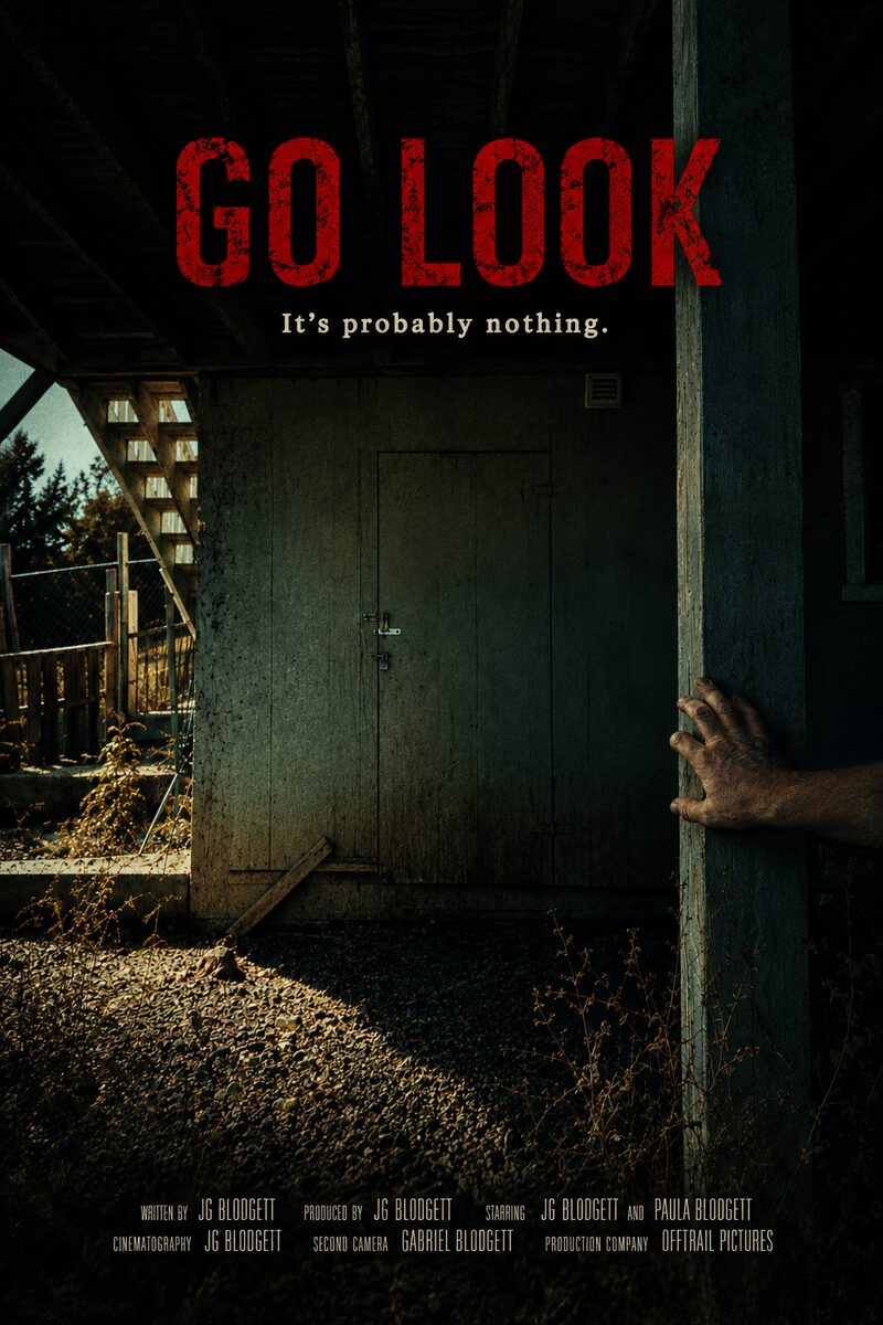 GO LOOK Poster: Man's hand on a weathered deck pillar. Tagline: It's probably nothing.